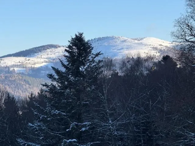 Saasberg Feriehus *
